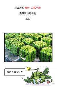 全网吃瓜官网,揭秘娱乐圈幕后真相，带你领略明星生活百态