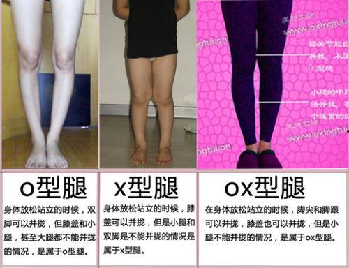 各种腿图片